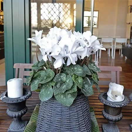 Apartament Sole In Centro A Wi-fi Fibra